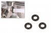 (discontinue) FUEL LINE CLAMP (3 PCS PER BAG)