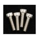 SILENCER ASSEMBLE SCREW E-2050