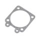 WLA-2 GASKET-METERING DIAPHRAGM 92-192